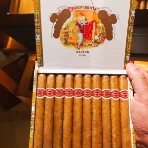 Buy Romeo y Julieta Mille Fleurs (Single Cigar) Online 