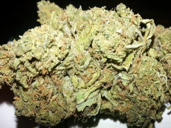 Order Acapulco Gold Weed Strain Online