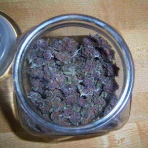 Buy Blueberry Kush Online