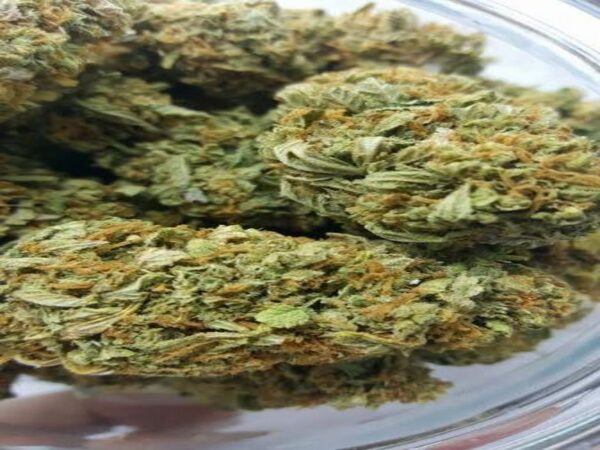 Buy Lemon Skunk Weed Strain