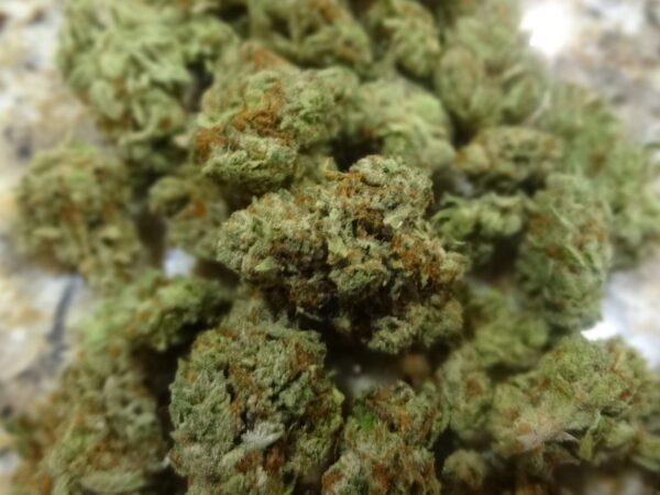 Buy Tahoe OG Kush Online