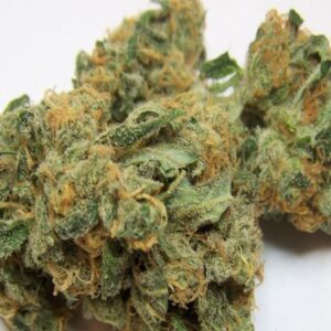 Order Tangerine Dream Strain Online