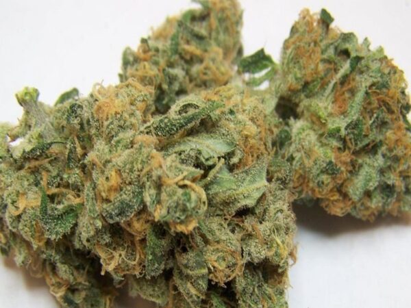 Order Tangerine Dream Strain Online