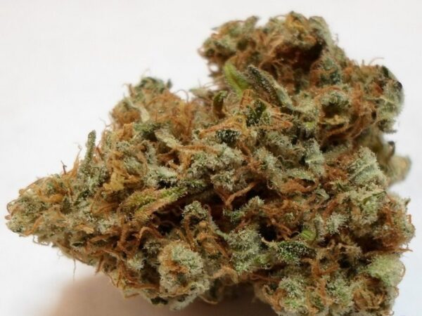 Purchase Trainwreck Strain Online