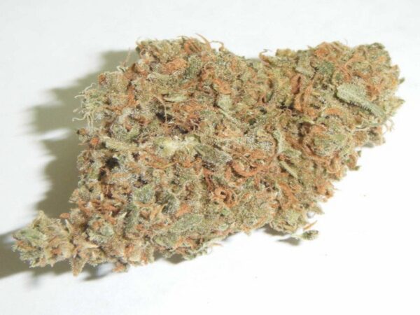 Buy White Widow Strain Online