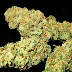 Buy XJ-13 strain Online